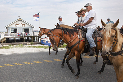 Chincoteague Wild Ponies : Personal Photo Projects : Photos : Richard Moore : Photographer